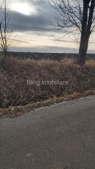 Teren extravilan Tureni 2000mp - 2