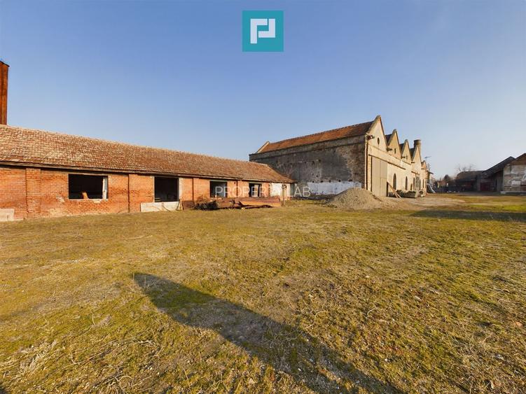 Teren și hale pe calea Aradului în Periam - 10