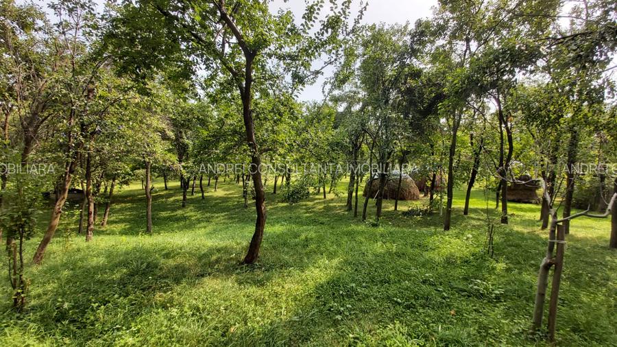 Oportunitate vanzare 6000 mp teren drept,superb toate utilitatile Breaza Prahova - 3