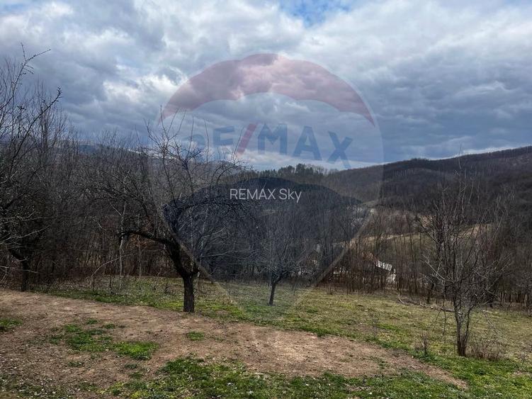 Teren intravilan 12.458 mp în Văleni (Meteș) - 3