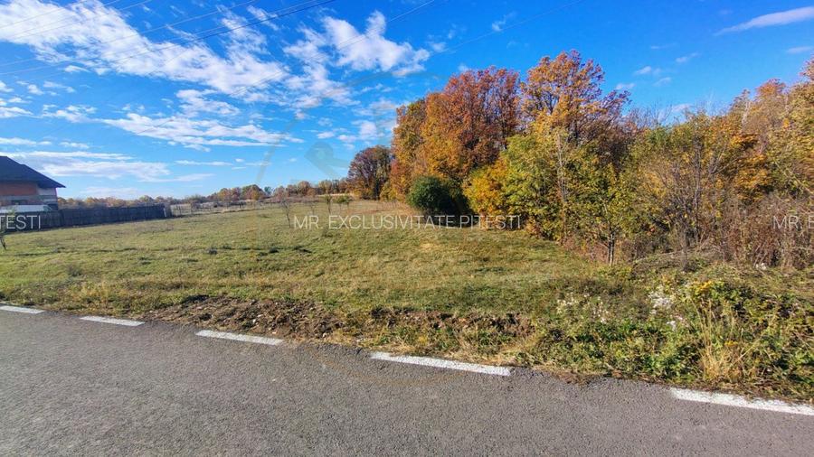 Teren 10200 mp Mosoaia - 2