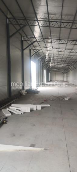 Hala noua 600 mp Giurgiului ( Progresul ) - 6