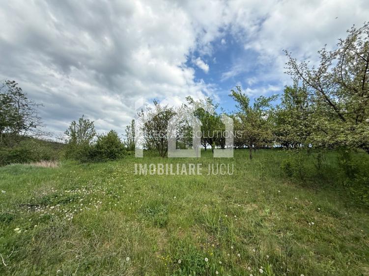 Teren intravilan construibil – 2.100 mp | Căianu - 6