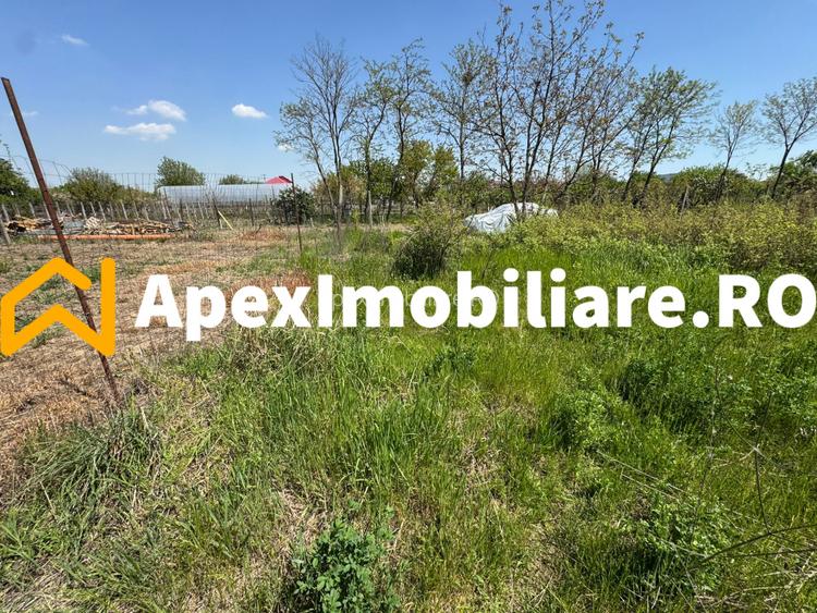 Teren intravilan de vanzare  Cornetu IF | ApexImobiliare.ro - 6