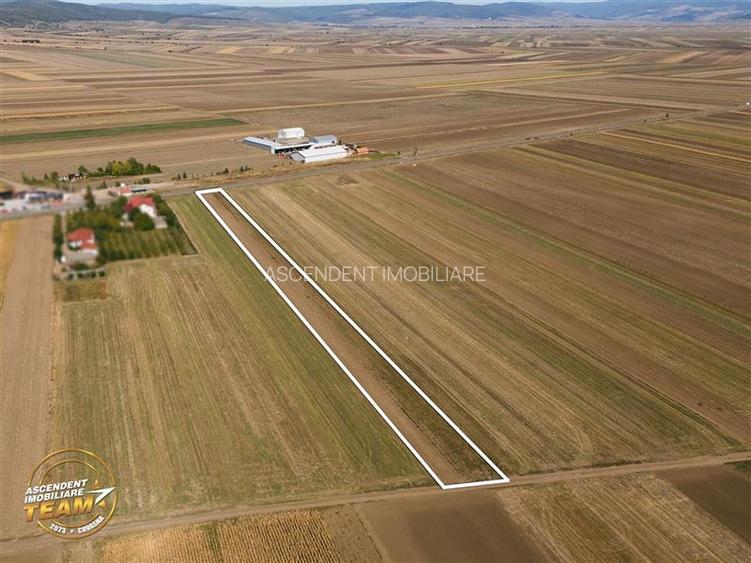 FILM! Teren intravilan 7.500 mp, deschidere dubla, DN11 (E574), Cernat, Covasna - 9