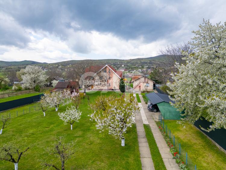 Casă/vilă de vânzare cu teren generos 3659 mp și 3 construcții, Sărată, Bacău - 2