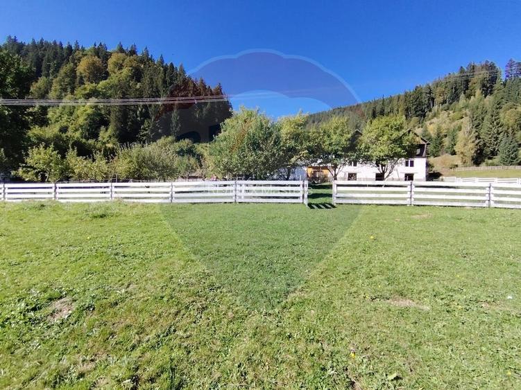 Casă în Vatra Dornei, zona Argestru, cu 11.541m.p. TEREN INTRAVILAN - 9