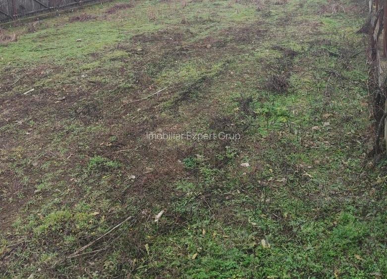 Teren Cornetu Zona str Aeroportului - 2