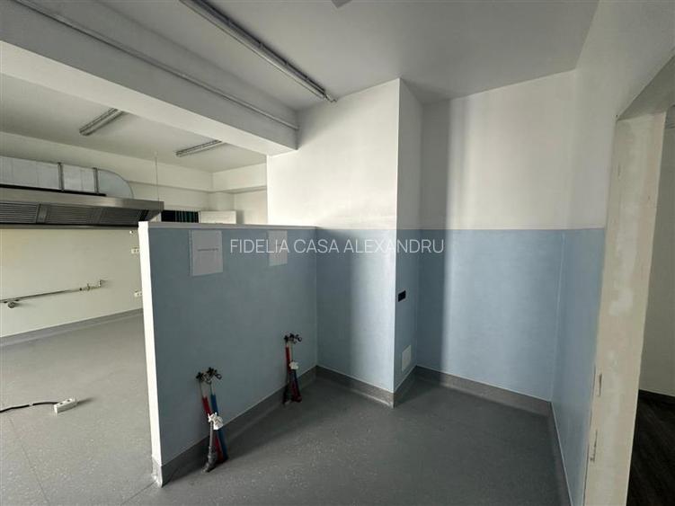 Spatiu comercial 195 mp de inchiriat, Valea Lupului - 13
