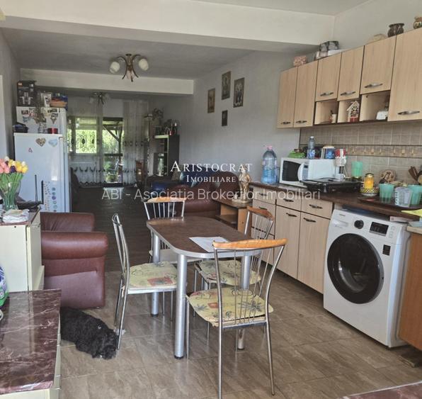 Duplex pe parter Tamasi padure - 5