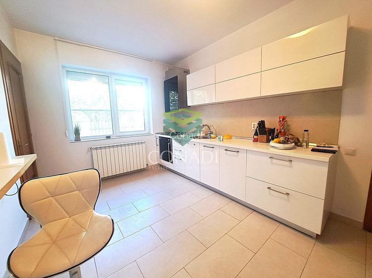 Baneasa- Iancu Nicolae, vila de inchiriat, 450 mp utili - 3