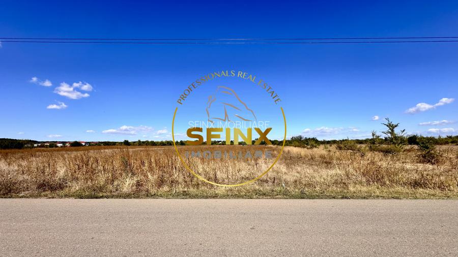 Corbeanca 5000 mp | deschidere 22 m la drum asfaltat | padure | utilitati  - 12