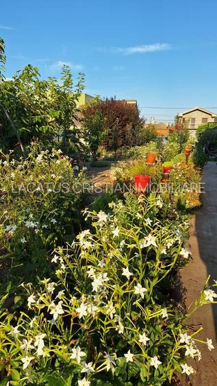 VILA UNICAT ULTRALUX P+1 +CASA CU TEREN 1412MP ZONA PALAZU MARE - 23