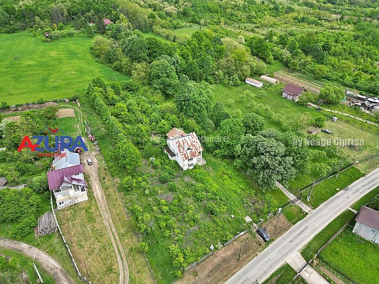 AZURA Imobiliare - Budeasa, Teren 5.069 mp, Casa BONUS - 6