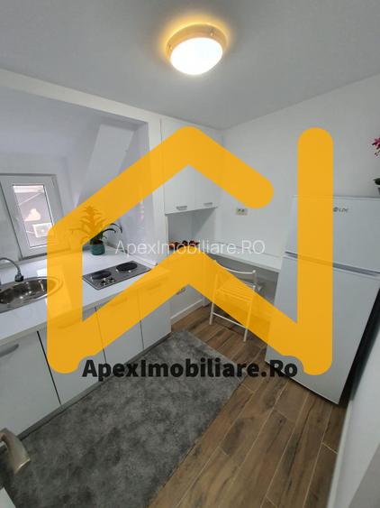 Parcul Carol I Garsoniera I Centrala Proprie I Curte - 9