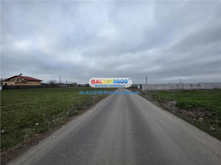 Vanzare lot de teren 1700 mp in apropriere de lac si padurea Cernica - 15