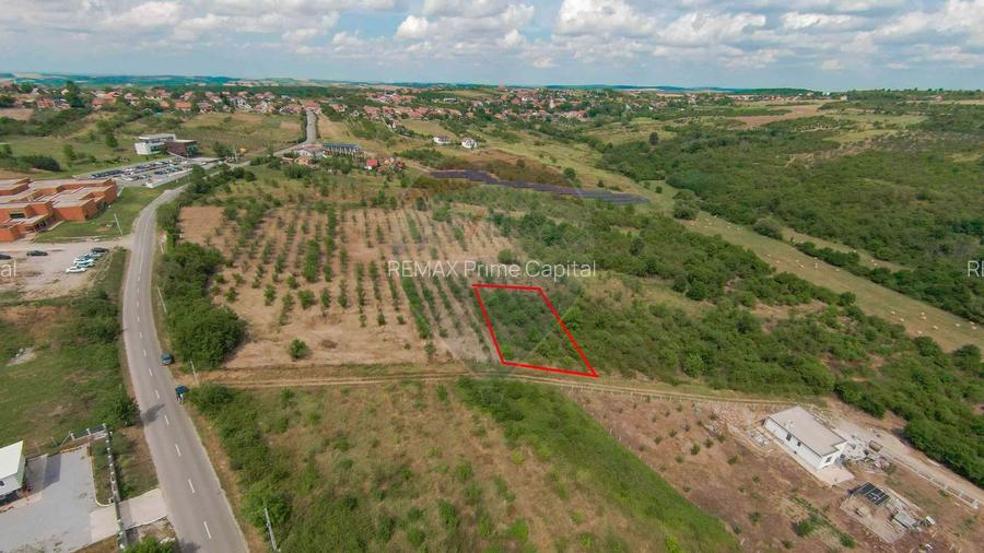 Teren intravilan 1,163mp de vânzare în Săldabagiu De Munte - 3