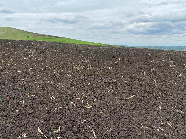 Teren extravilan, 10.200mp, Țagu - 4