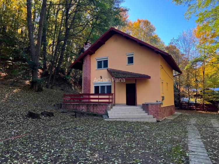 Vila de vanzare langa PITESTI; 3 dormitoare, 2 bai ; complet mobilata si utilata - 11