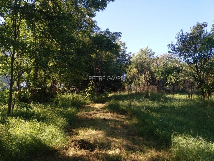 SUPER OFERTĂ !  Vând Casă modernizată Berghin, 1750 mp teren, - 13