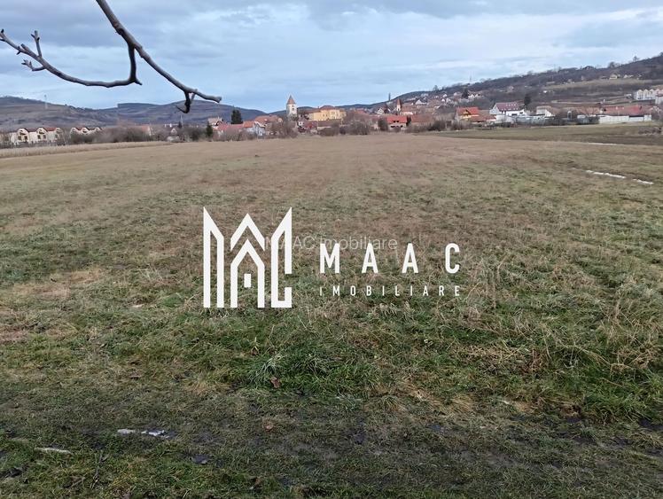 Teren Intravilan | 1.800MP | Gusterita - 3