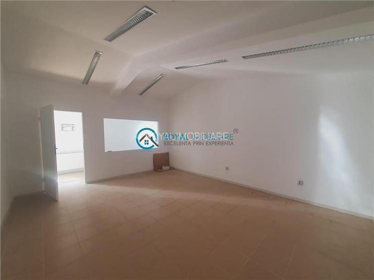 Royal Imobiliare - Inchiriere Spatiu Industrial zona Vest - 11