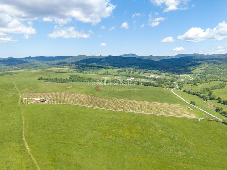 PROPRIETATE CU LIVADA MATURA DE NUCI SI POTENTIAL INVESTITIONAL - 51