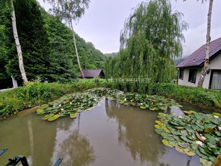 Complex Turistic - 900 mp utili -  teren 3000 mp - Piscina - zona turistica - 50