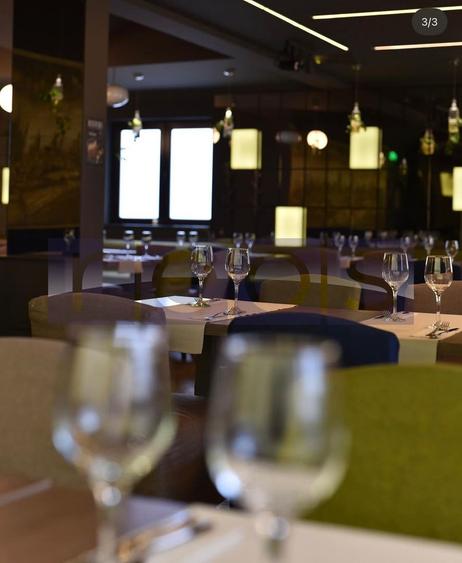 OPORTUNITATE VANZARE - INCHIRIERE VILA RESTAURANT | GRADINA ICOANEI | - 28