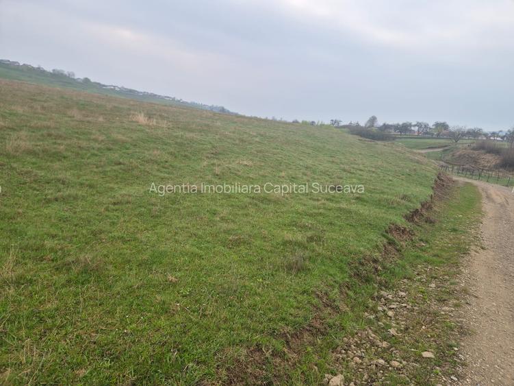 Teren Mitoc-Lipoveni de vânzare - 3