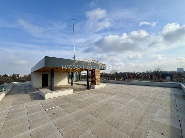 Resedinta de lux / * Kiseleff* - 30