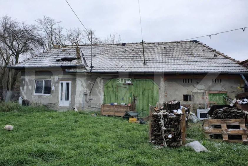 Casa cu teren generos în Ceanu Mic – 1.700 mp, la doar 20 km de Cluj-Napoca - 4