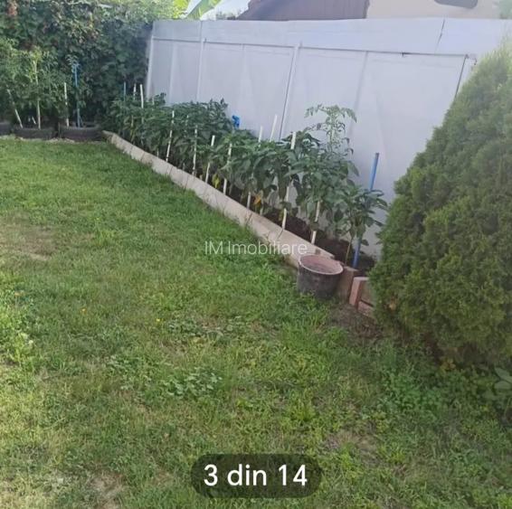 Varias - Casa Individuala - Teren - 11