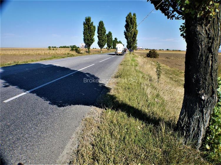 Teren iesire din Nicolae Balcescu, la 200ml de E85 Bacau - 6