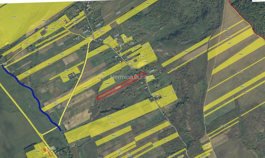 Pachet terenuri edificabile+agricole ,3ha, utilitati, Bunghi Poienari - 3