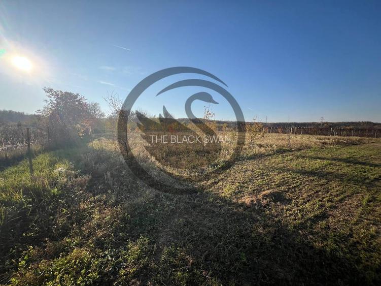 Teren intravilan de vanzare | 12.650 mp | Ghirdoveni, | Comision 0% - 7