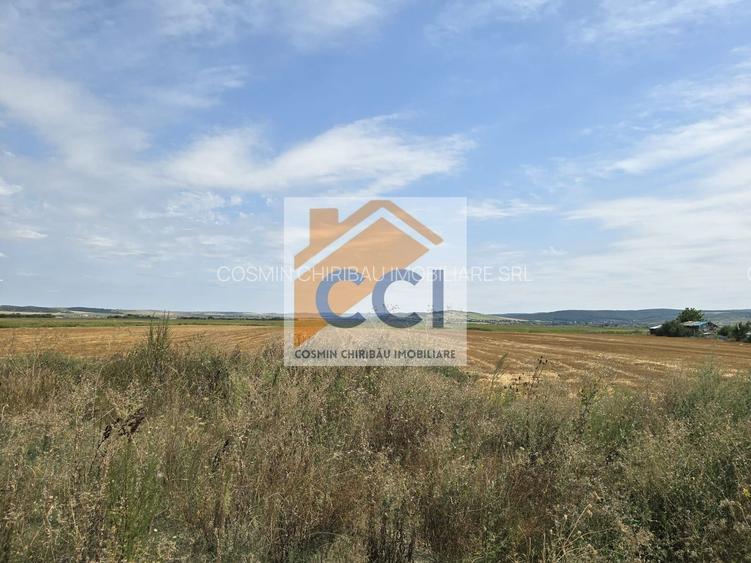 Teren intravilan– 50.000 mp, Bacău, Șoseaua Hol - 3