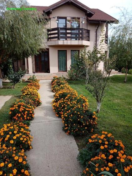 Casa de vanzare Domnesti – Teghes