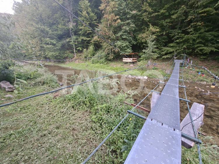 Spatiu de vanzare in Valea Macesului judel Valcea iesire la Lotru - 21