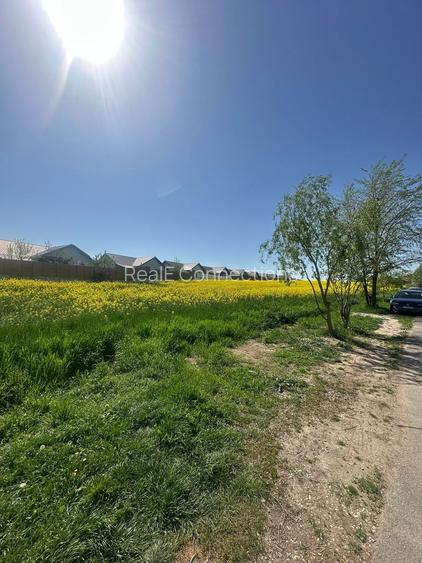 Teren intravilan 26.300 mp Saftica Balotesti - PUZ în lucru - 20