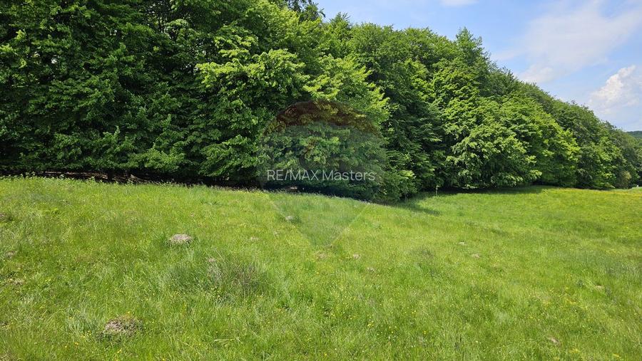 Teren Ilisesti  7000mp extravilan/ DN 17, Suceava - 33