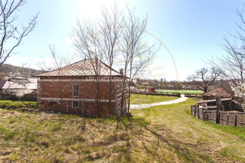 Casă P+1 langa padure cu teren 4.752 mp Cosesti Arges - 10