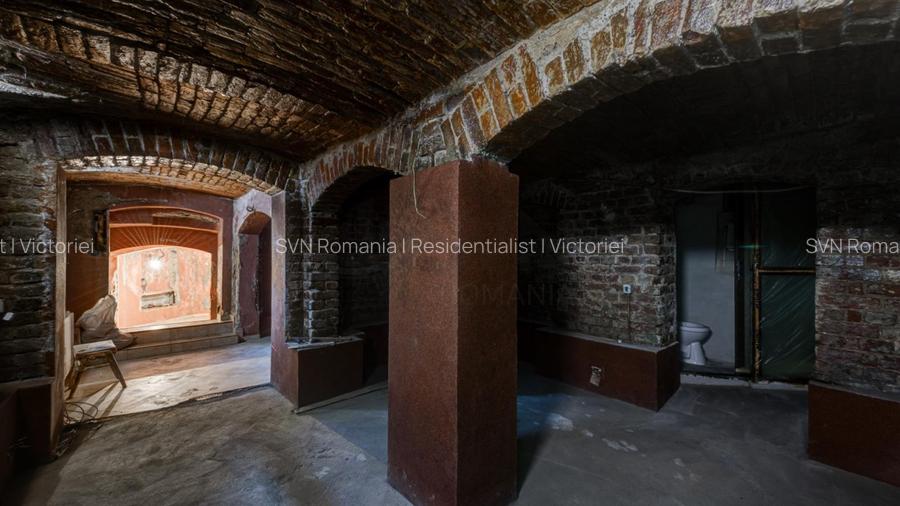 REC3001678 Spatiu comercial Cismigiu - 4