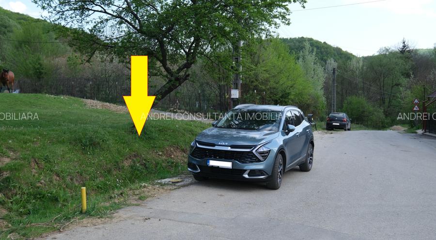8000 Euro vanzare 220 mp teren asfalt apa gaz si curent Cosminele Prahova superb - 3