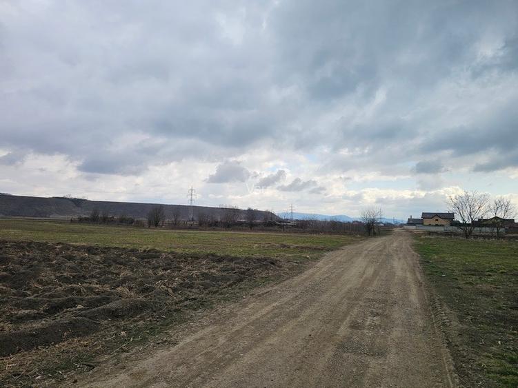 Oportunitate investitie – Teren intravilan in Bacau - 4