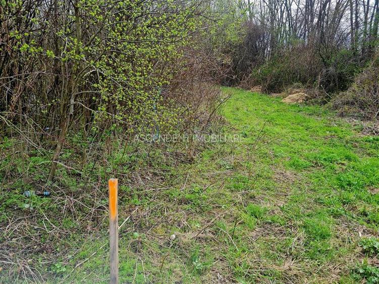 1.700mp intravilan,acces usor,intre case,ideal 2 locuinte/investitie,Lunca Calni - 6