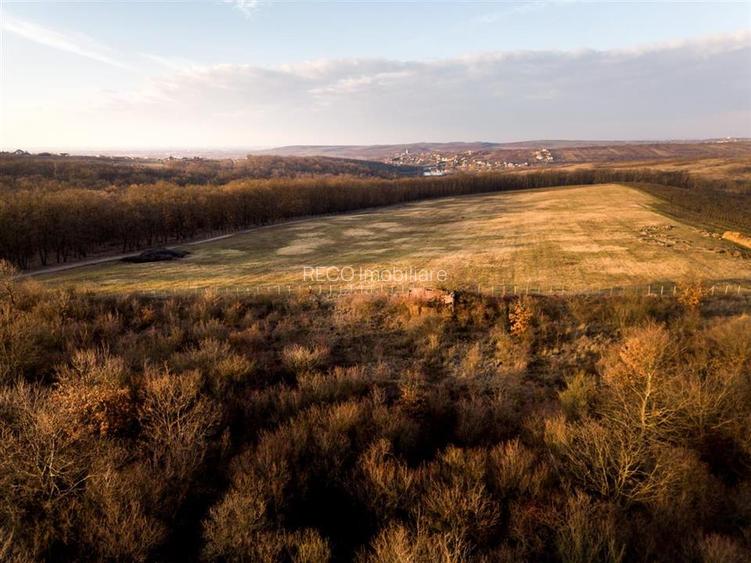 Reco Teren intravilan in Saldabagiu de munte 4333MP - 9