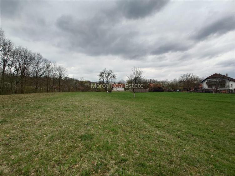 10 000 mp teren intravilan cu priveliste - 16