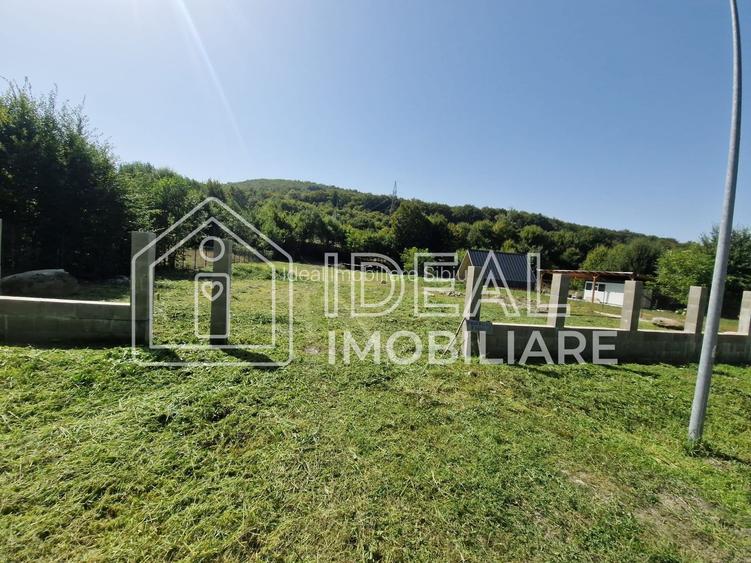 Teren extravilan 2.300 mp – Cârțișoara, județul Sibiu - 2