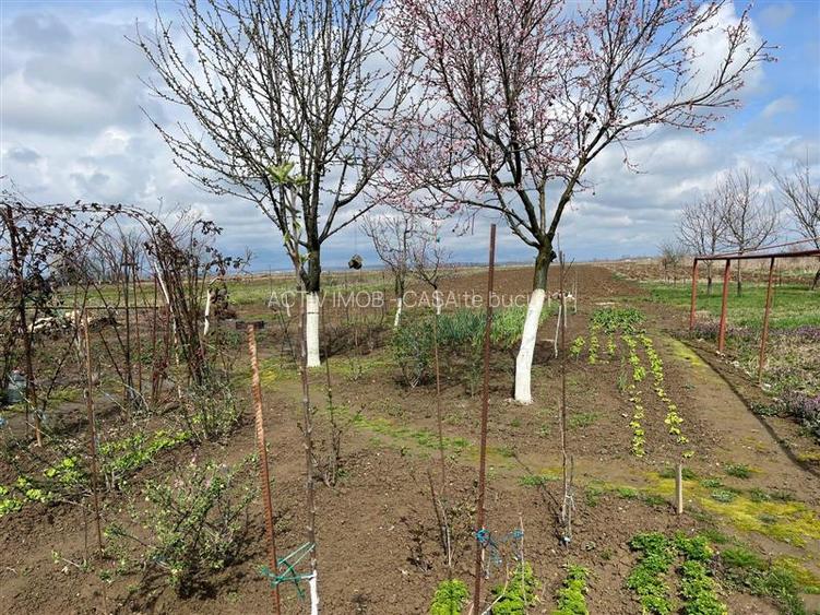 Belint, Casa, 4 Cam., 2.935 Mp. Teren - 27